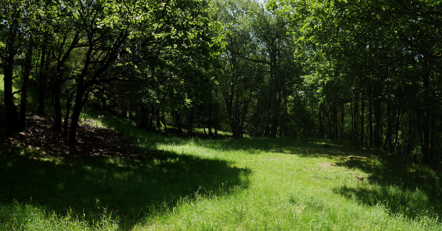 08_BOTTOM_HILLOCK